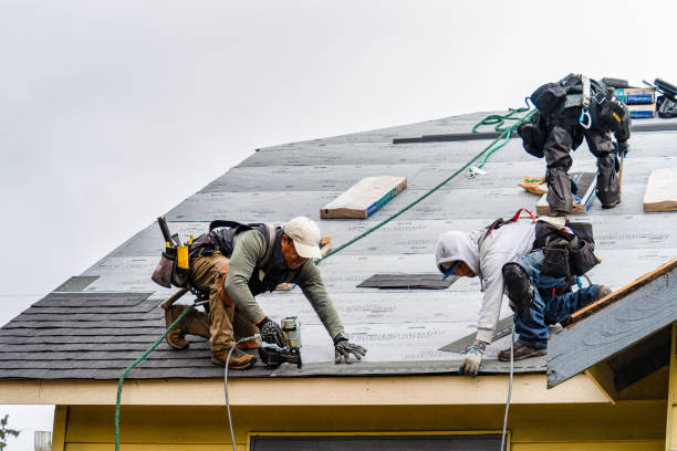 Professional Gutter Installation technician working in North Tazewell, VA